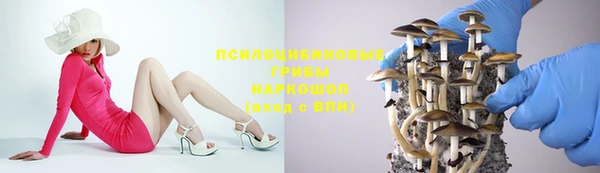 а пвп мука Алексеевка