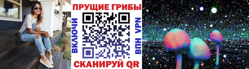 Галлюциногенные грибы прущие грибы  Мещовск 